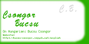 csongor bucsu business card
